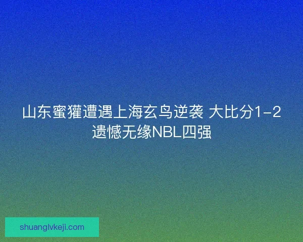 山东蜜獾遭遇上海玄鸟逆袭 大比分1-2遗憾无缘NBL四强